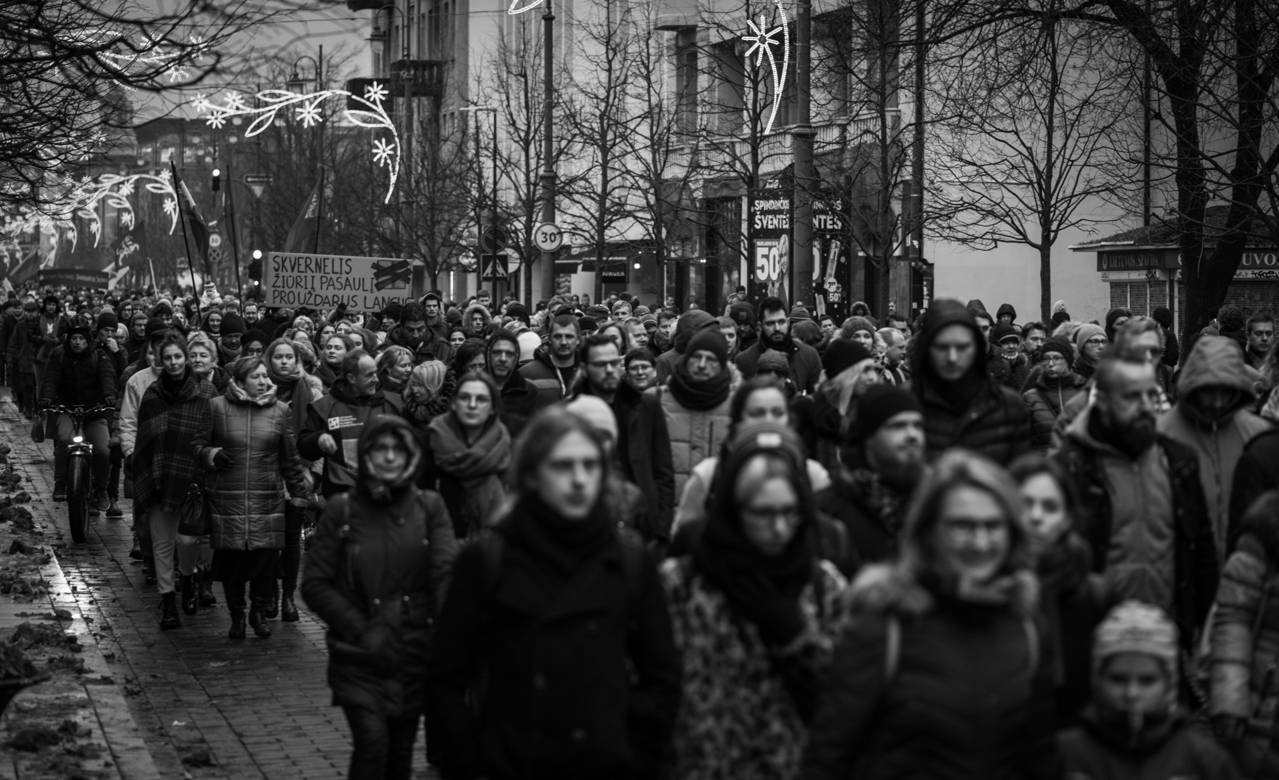 Lithuania after the elections: what will be left of public services?