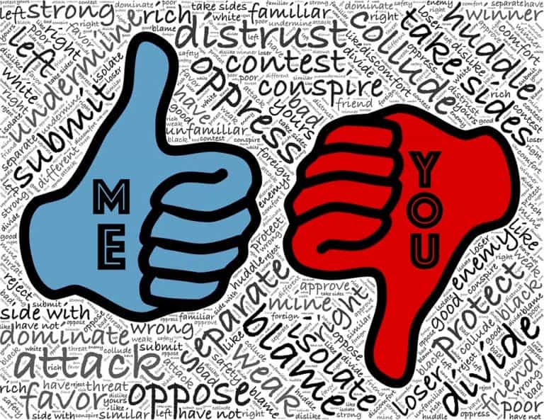 Divides within politics