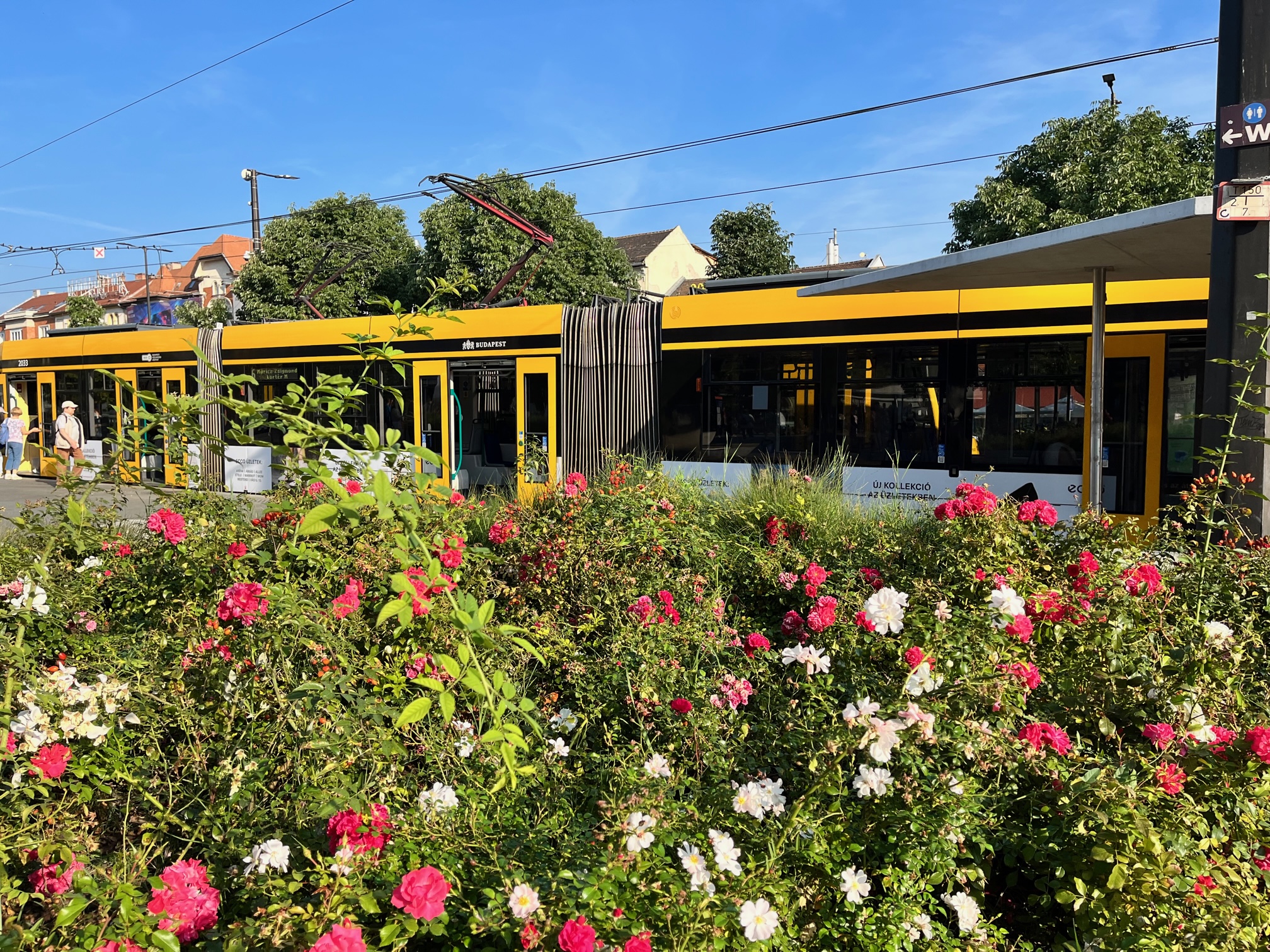 Sex and the City – a progressive perspective