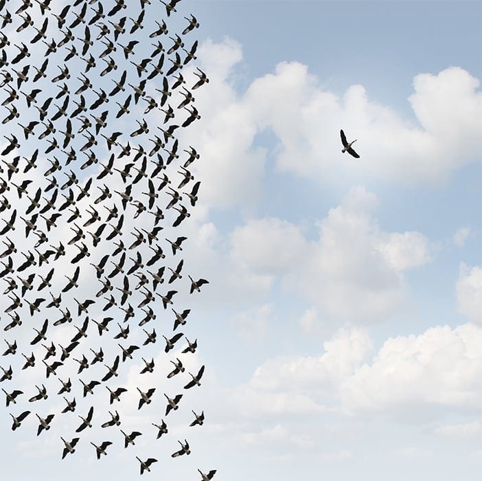 Inquiry: What will the Next Leader of the Future look like?