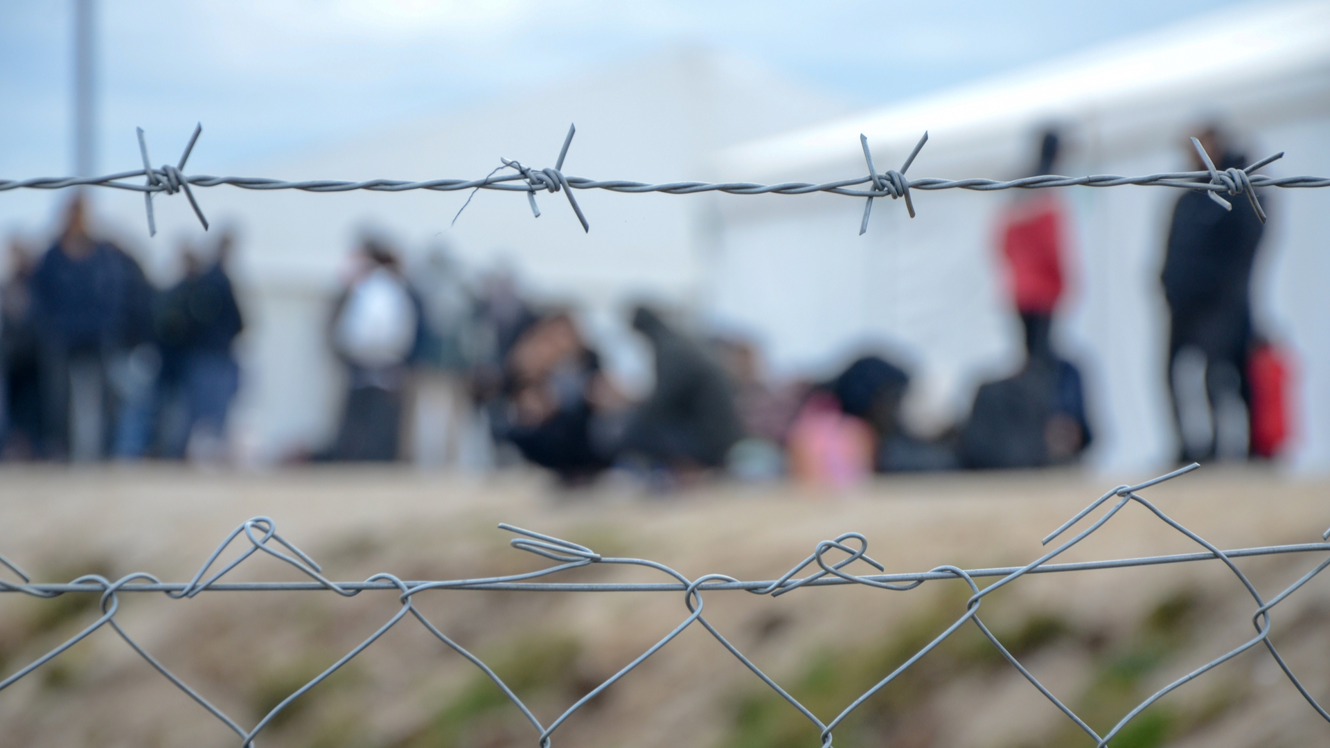 The future of the ‘New Pact on Migration and Asylum’