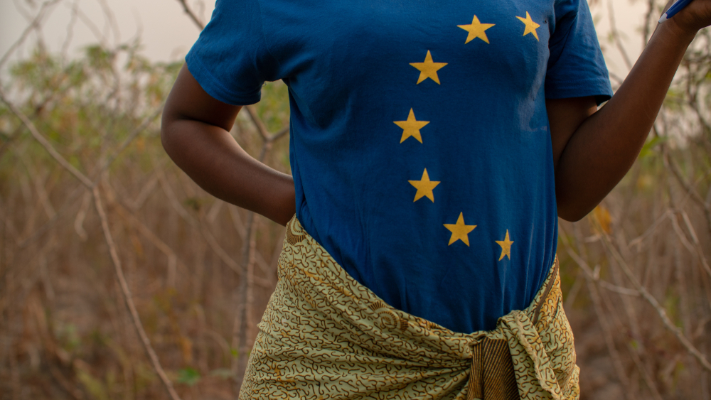 Reforming development finance to address crisis times