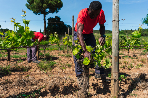 Exploited and marginalised: obstacles to integration and inclusion for migrant workers in care and agriculture